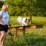 Miniaturka Schaukel für Hunde (7)